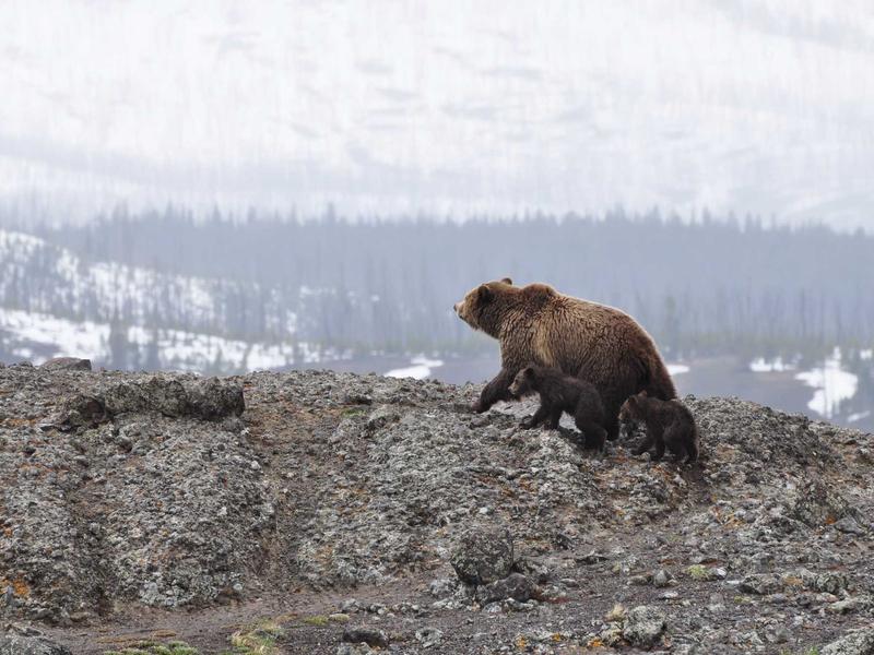 双缝干涉<br>warnesu.cn 观察者效应